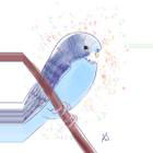 An artwork of a blue budgie.